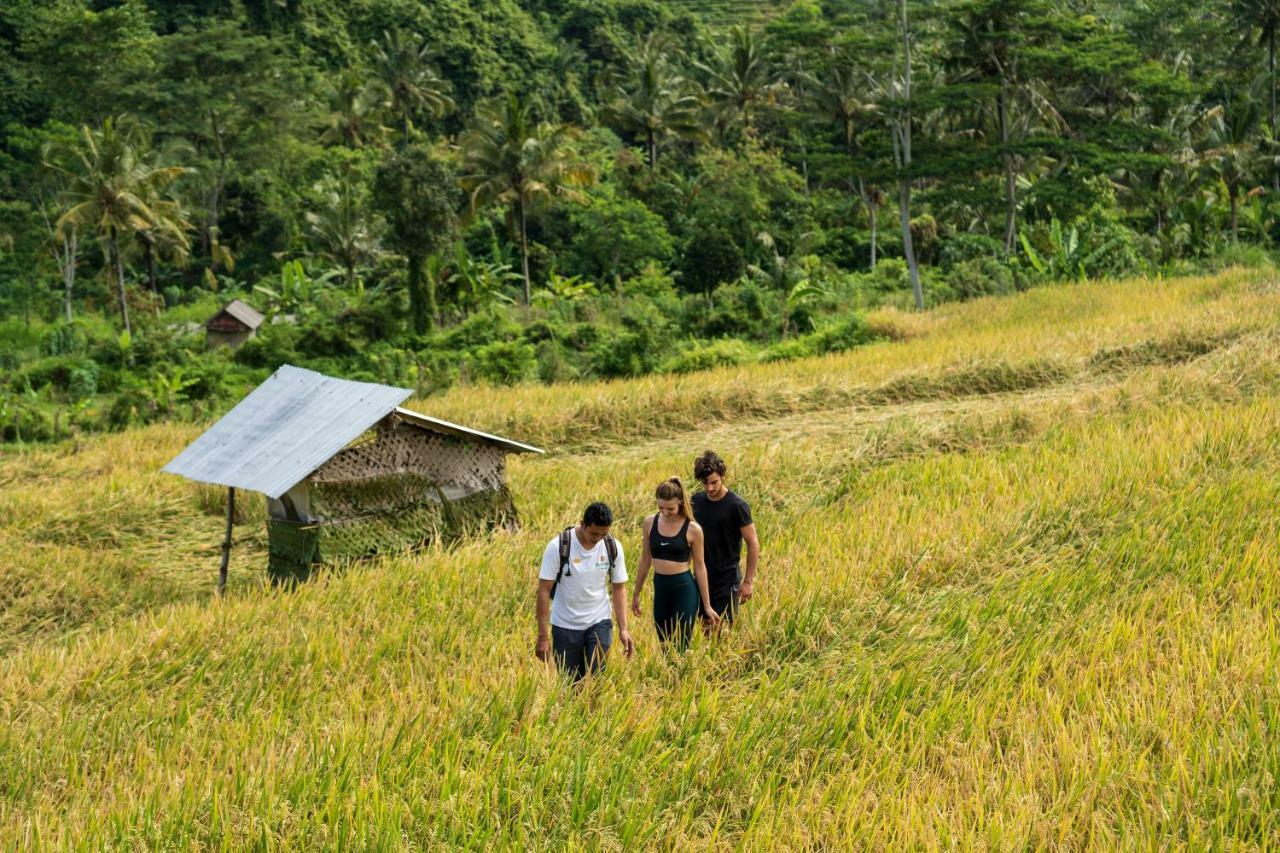 Отель Wapa Di Ume Sidemen Сидемен Экстерьер фото A rice field in Bali